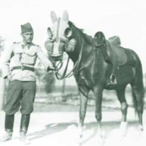 1919